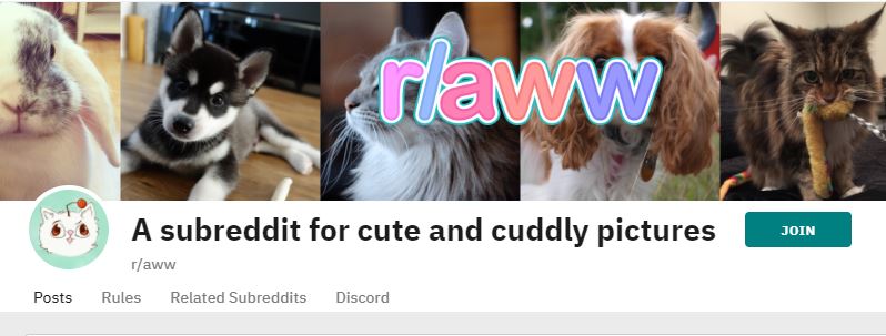 aww subreddit