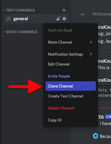 Clone a Discord Channel