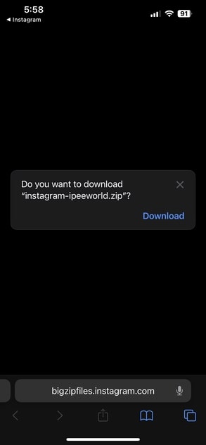 confirm downloading the file