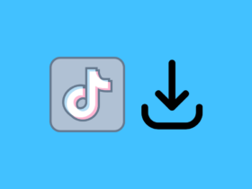 How To Save TikTok Videos Without Posting