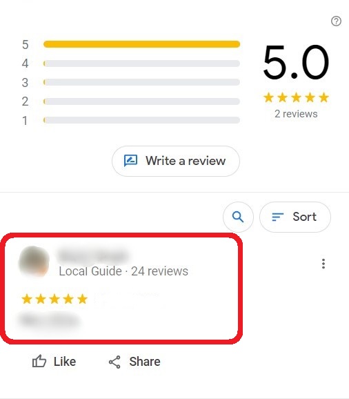 check google review