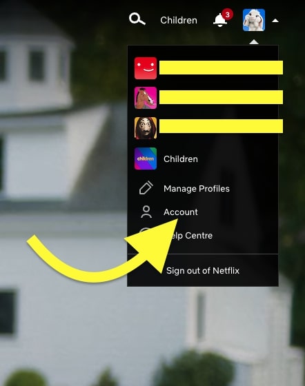 Netflix Account Settings