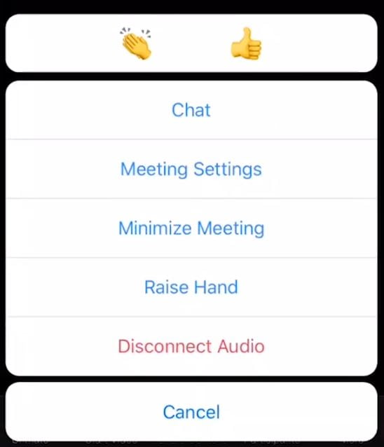 raise hand on zoom mobile app