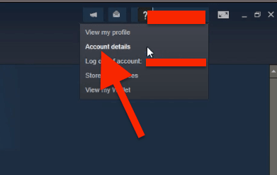 Steam Account Details