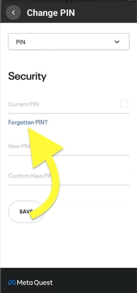 Tap Forgot PIN?