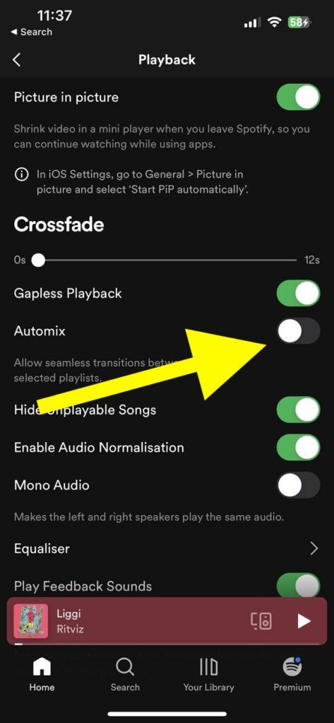 turn off automix spotify