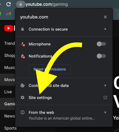 youtube site settings